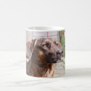 Tasse de café de Brin de chien de Nowzad Rscue