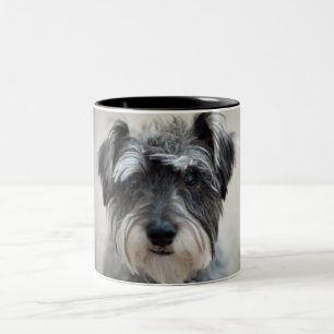 Tasse de café de chien de Schnauzer