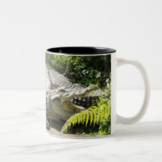 Tasse de café de crocodile