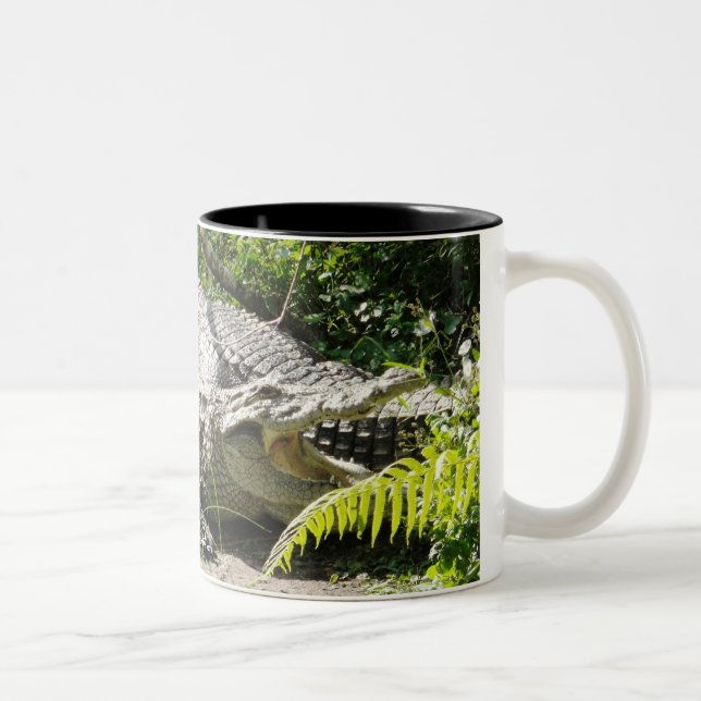 Tasse de café de crocodile (Droit)