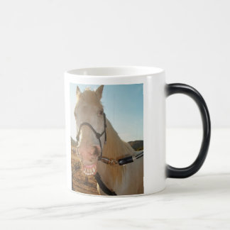 Tasse de café de disparaition de sourire de cheval