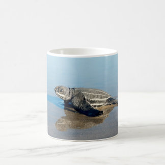 Tasse de café de Hatchling