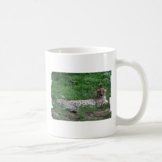 Tasse de café de repos de guépard