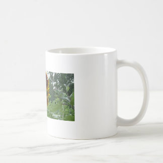Tasse de café de tournesols