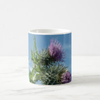 Tasse de café écossaise de chardon de ciel bleu