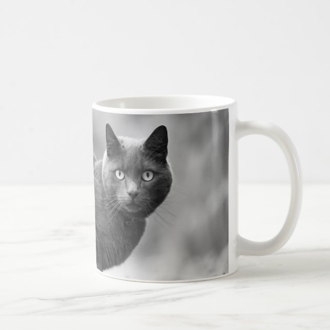 Tasse de café grise de chat (Droite)