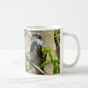 Tasse de café Jaune-rumped de fauvette