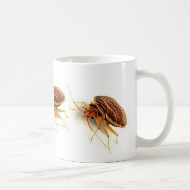 Tasse de café - lectularius de Cimex (insecte de (Droite)