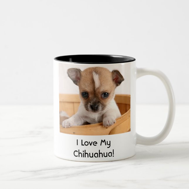 Tasse de café mignonne de chiot de chiwawa (Droit)