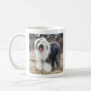 Tasse de café portrait de vieux chien de berger an