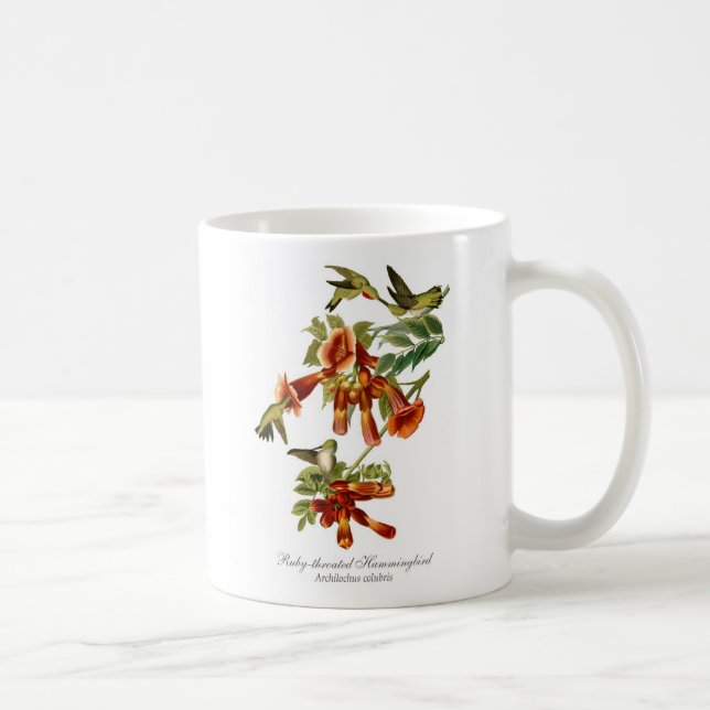 tasse de café Rubis-throated de colibri (Droite)