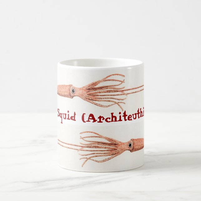 Tasse de calmar géant (Centre)