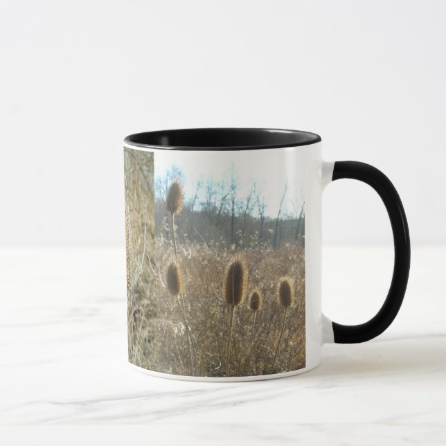 Tasse de cardères (Droite)