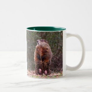Tasse de castor de jardin