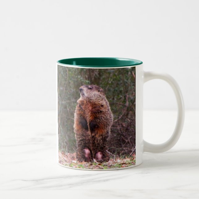 Tasse de castor de jardin (Droit)