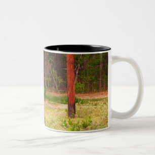 Tasse de cerfs communs d'axe