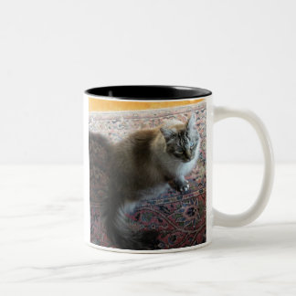 Tasse de chat avec le vers… dans l'oeil affectueux
