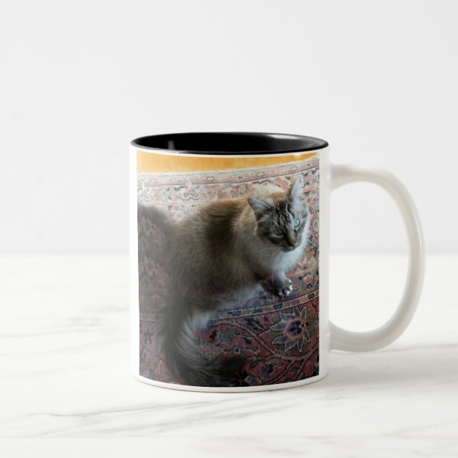 Tasse de chat avec le vers… dans l'oeil affectueux (Droit)