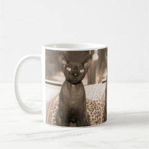 Tasse de chat de Devon Rex de sépia