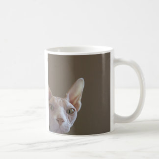 Tasse de chat de Sphynx