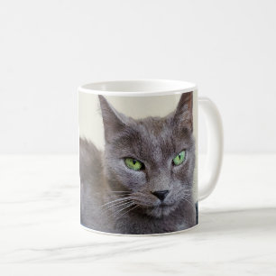 Tasse de chat gris