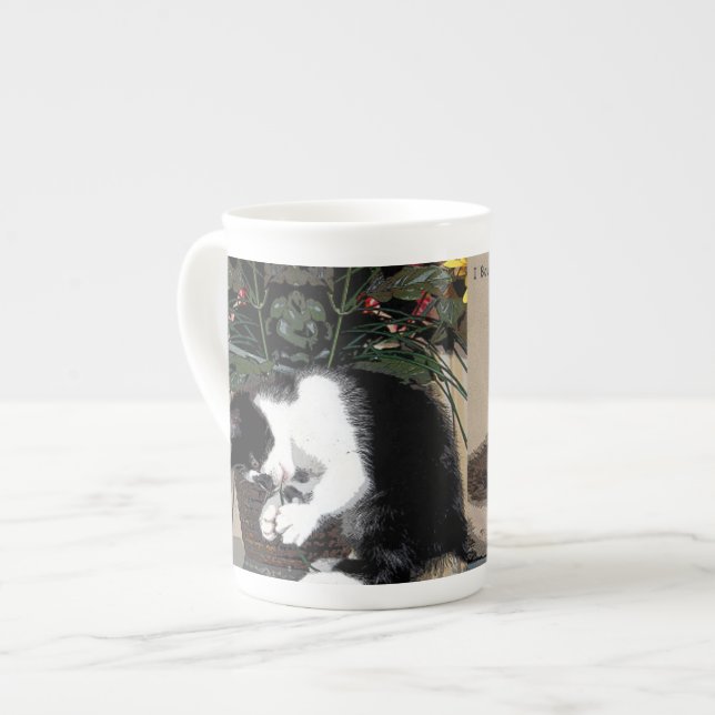 Tasse de chaton (Devant gauche)