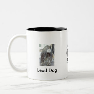 Tasse de chien d'avance