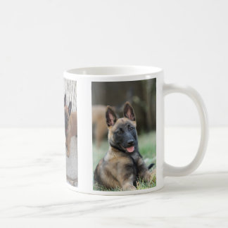 Tasse de chiot de Malinois de Belge