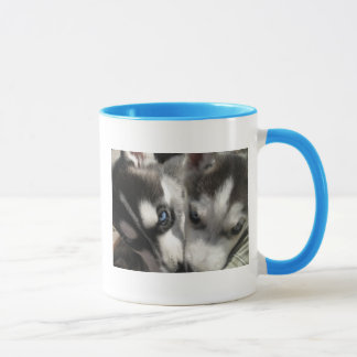 Tasse de chiots de chien de traîneau sibérien