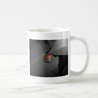 Tasse de coccinelle