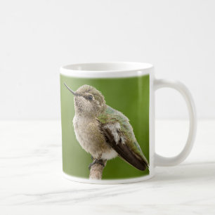 Tasse de colibri