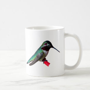 tasse de colibri - conceptions C et D