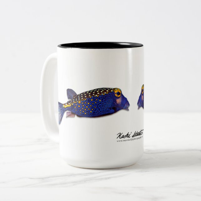 Tasse de coquine tachetée, meléagris d'ostracion (Devant gauche)