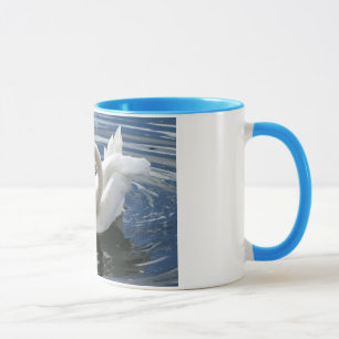 Tasse de cygne