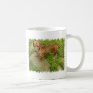Tasse de Daschund