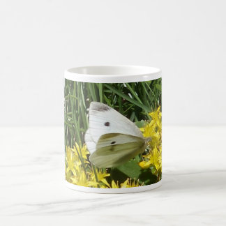 tasse de findhope