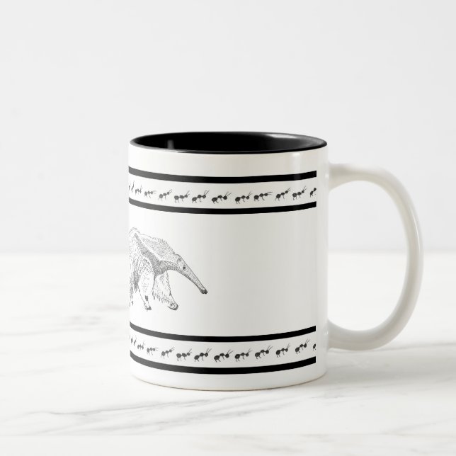 Tasse de fourmilier (Droit)