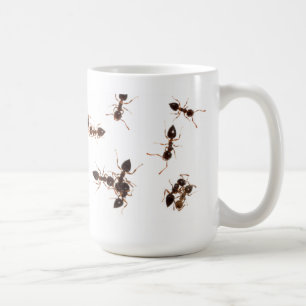 Tasse de fourmis d'acrobate