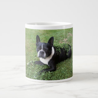 tasse de gombo de terrier de Boston