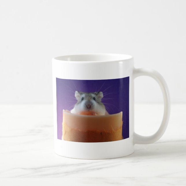Tasse de hamster de Roborovksi (Droite)