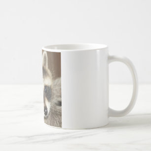 Tasse de jeune de raton laveur