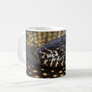 Tasse de Kingsnake de désert