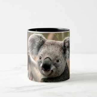 Tasse de koala