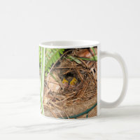 Tasse de la famille 2 de roitelet de Caroline