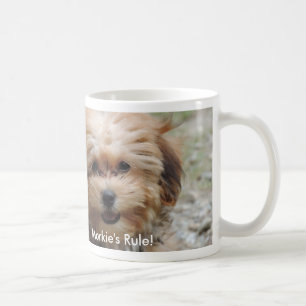 Tasse de la règle de Morkie