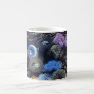 Tasse de la splendeur HD d'océan - récif coralie