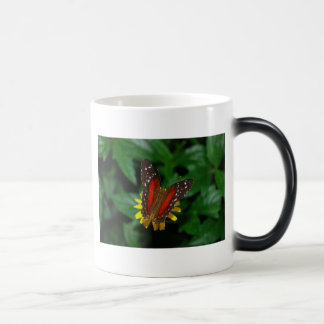 Tasse de la température de papillon