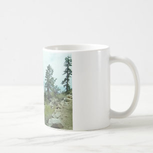 Tasse de la vue #5 de traînée du Mont Whitney -