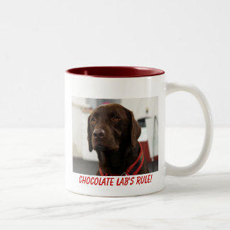 Tasse de laboratoire de chocolat