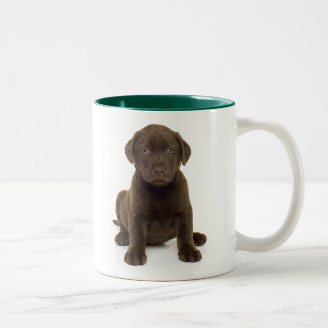Tasse de Labrador de chocolat (Droit)